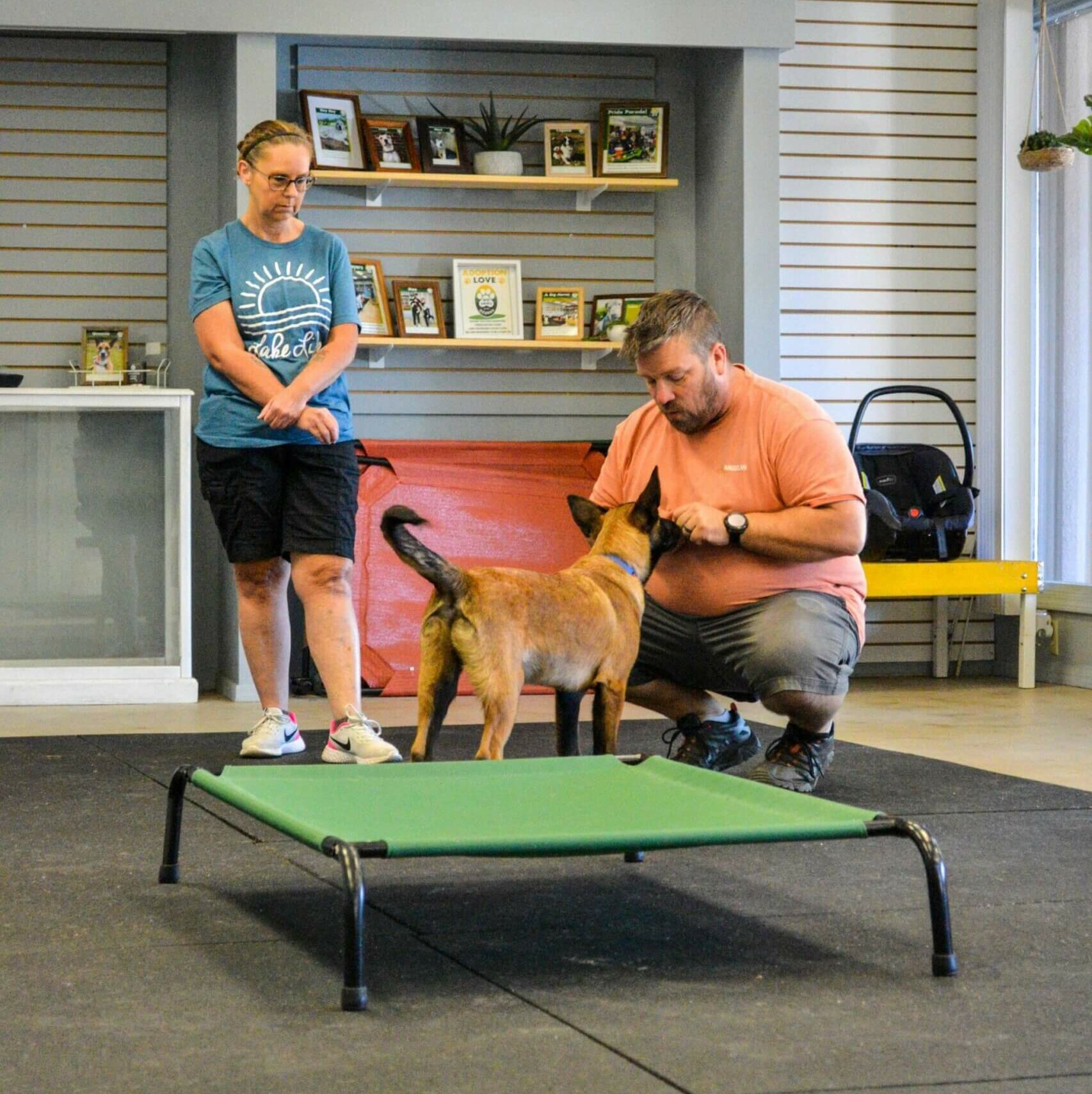 Private OneonOne Dog Training Lessons