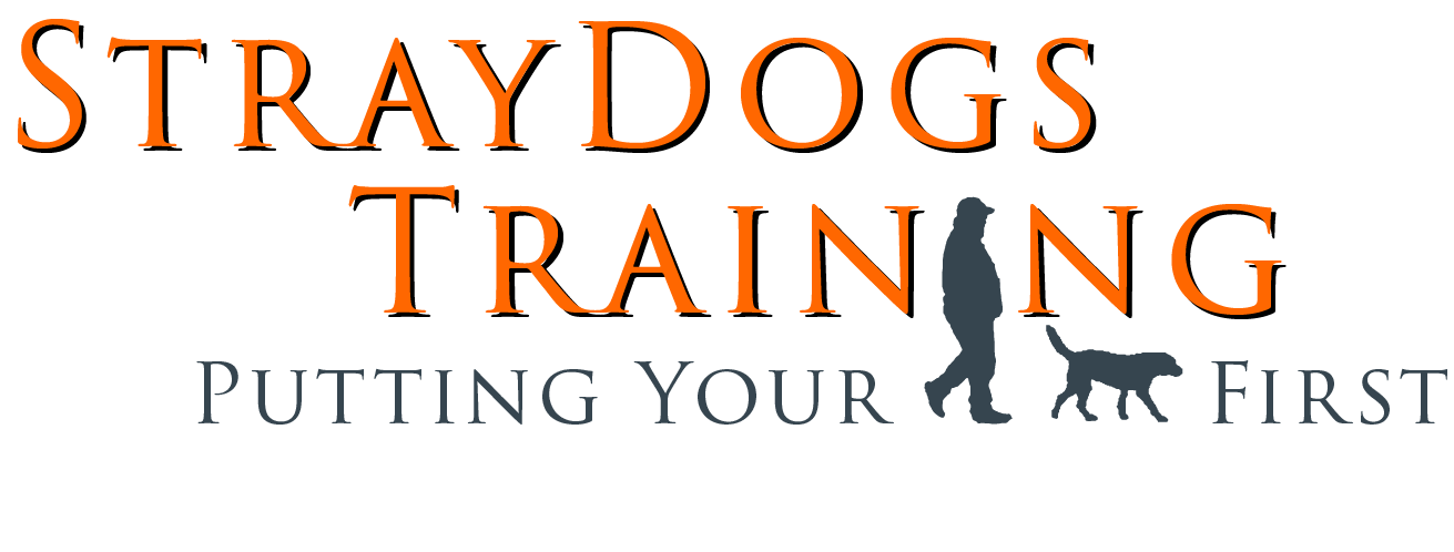 StrayDogs Training